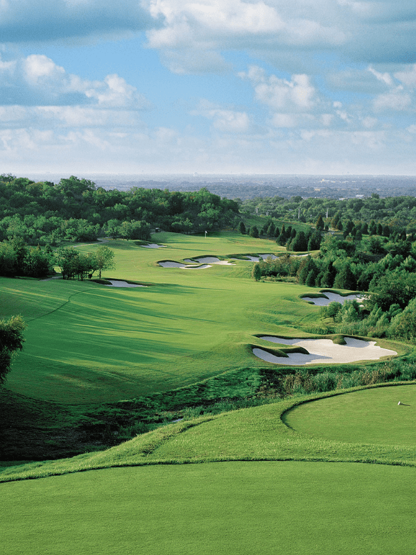 Untitled design - 2026-01-20T133024.503